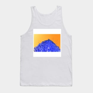 the beauty in the grass ecopop landscape of oaxaca photograph collage Tank Top
